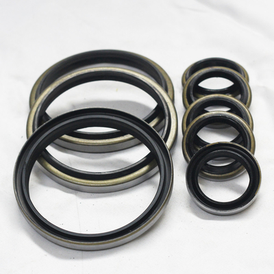 SEALS DKB Rabagisseur hydraulique, essuie-glaces et joints d'huile Options de conditionnement polyvalentes