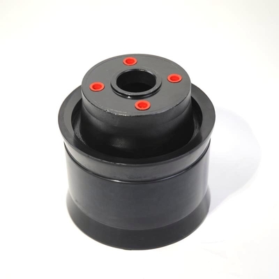 Piston intégral Putzmeister pour camions pompes à béton PM200