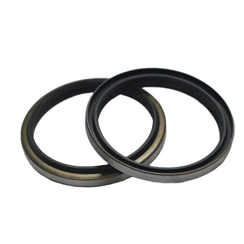 Résistant à l'huile Dkb Dust Wiper à cylindre hydraulique